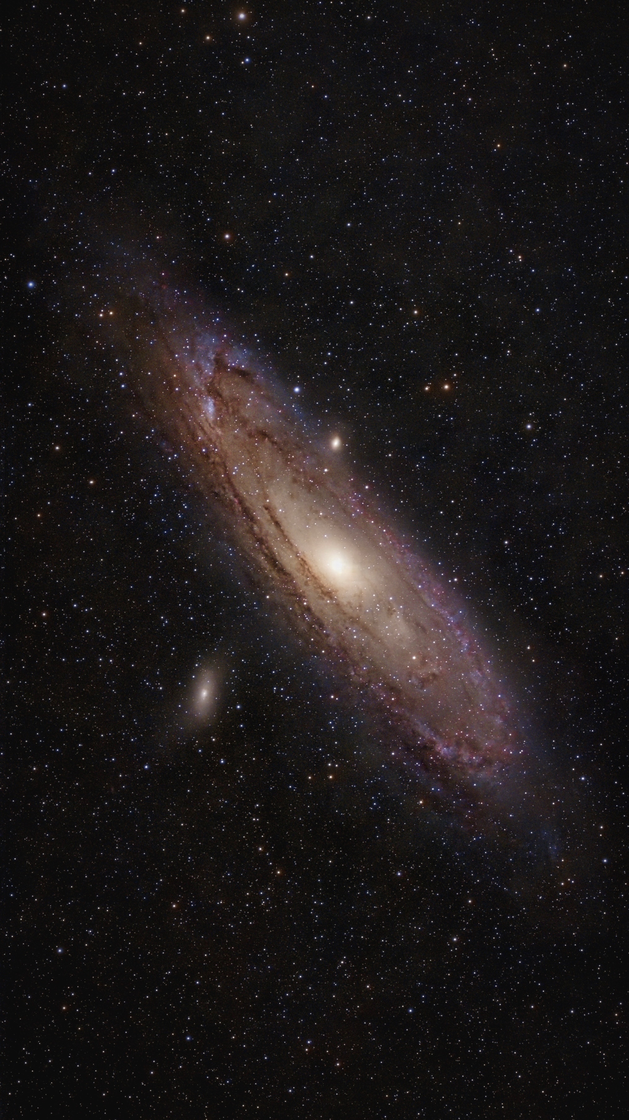 Andromeda