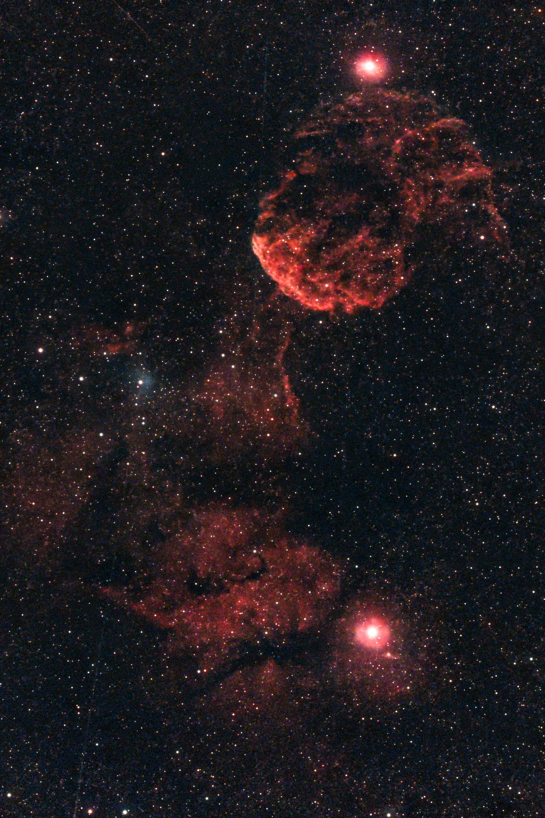 Meduza