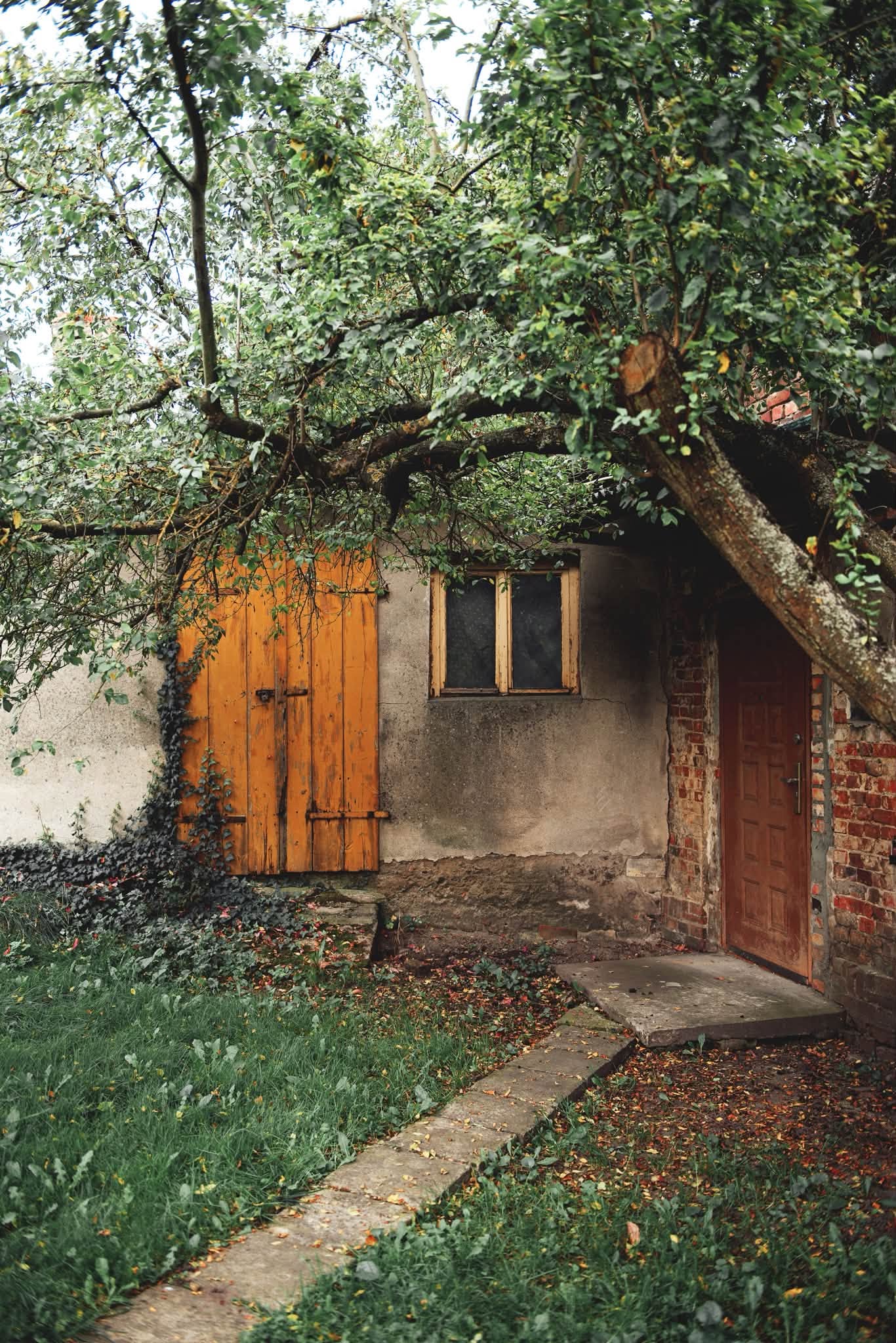 Podwórko
